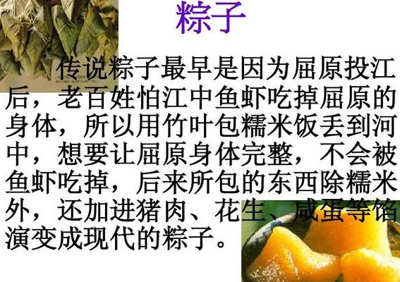 粽子的介绍（粽子的介绍怎么写）