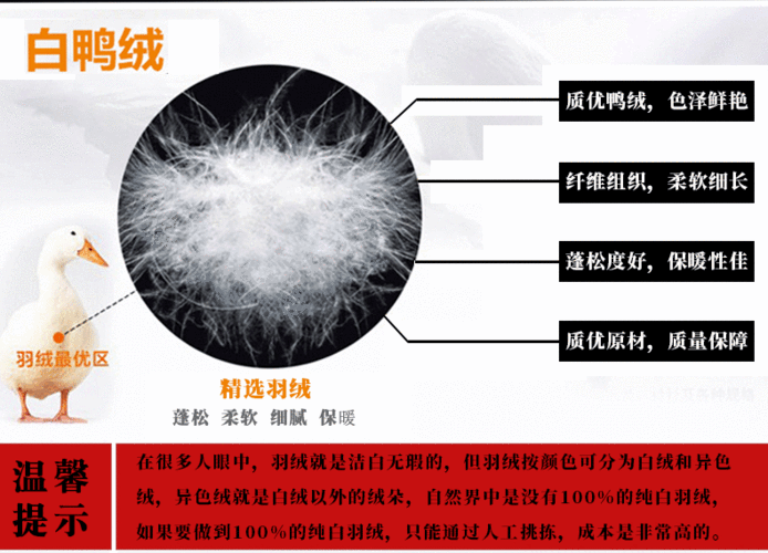白鸭绒和灰鸭绒的区别（90白鸭绒跟90灰鸭绒的区别）