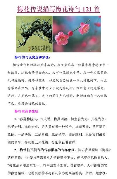 关于梅花的资料（关于梅花的资料30字左右）
