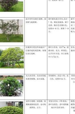 常见灌木（常见灌木种类）