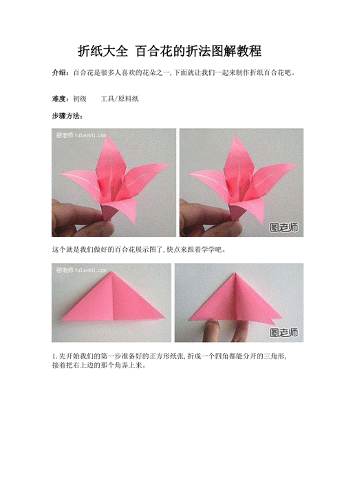 折纸花大全图解（折纸折花大全）