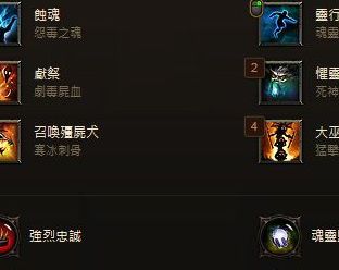 巫医技能搭配（巫医装备搭配）