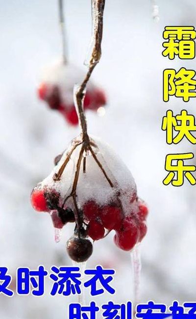霜之祝福（祝福霜降）