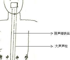 什么是假声（什么是假声唱）