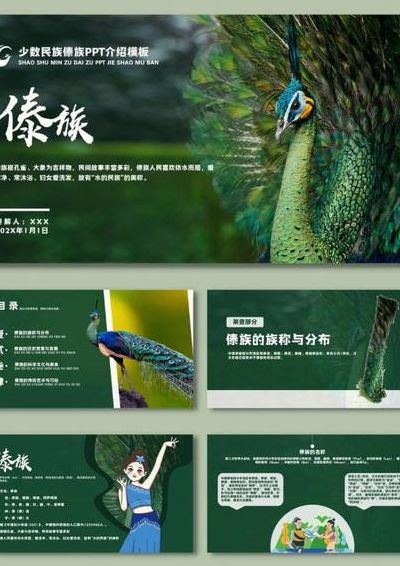 傣族简介（傣族简介的ppt模板）