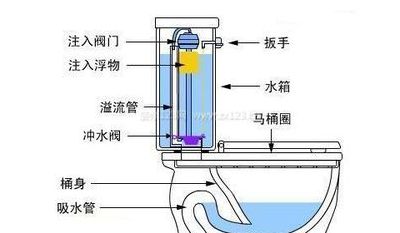 马桶水箱结构（科勒抽水马桶水箱结构）