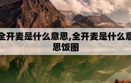 全开麦是什么意思（全开麦是什么意思呀）
