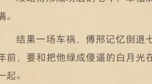 傅先生傅太太（傅先生傅太太笔趣阁免费全本小说）