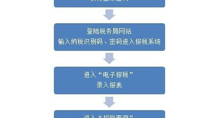 山东国税网上报税（山东国税网上报税流程）