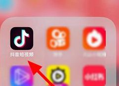 抖音账号资料怎么看（抖音账号资料怎么看的）