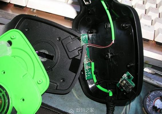 雷蛇雷霆齿鲸（雷蛇雷霆齿鲸耳机罩怎么换）