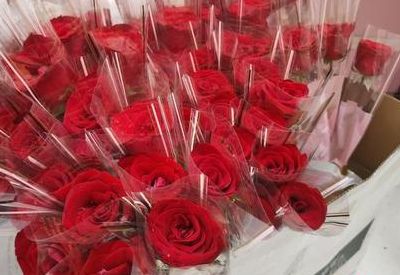 结婚证上的花是什么花（结婚证上的花是什么花?）
