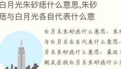 白月光与朱砂痣是什么意思（白月光与朱砂痣是什么意思以及来源）