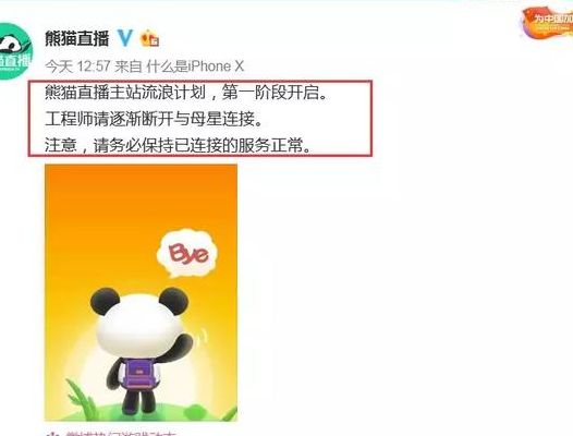 熊猫直播下架（熊猫直播下架了吗）