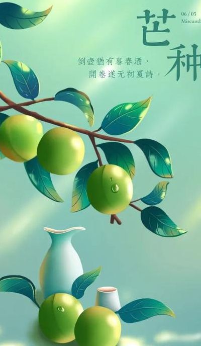 芒种美好寓意（芒种美好寓意成语）