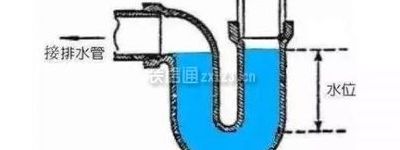 下水是什么部位（下水包括哪些部位）