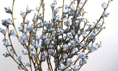 云南干花（云南干花能保持多久）
