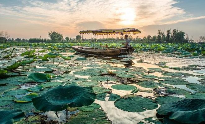 白洋淀旅游景点（白洋淀旅游景点大全排名榜）