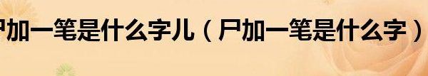 尸加一笔是什么字（尸加一笔是什么字20个）