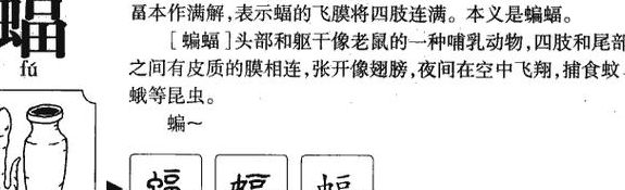 蝠字组词（蝠字组词造句）