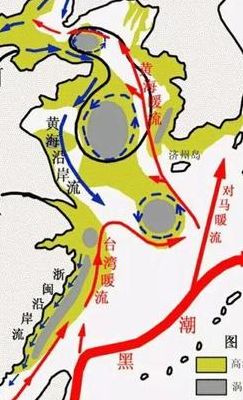 洋流分布图（中国洋流分布图）