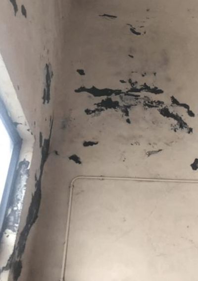 房屋墙壁渗水（房屋墙壁渗水是什么原因）