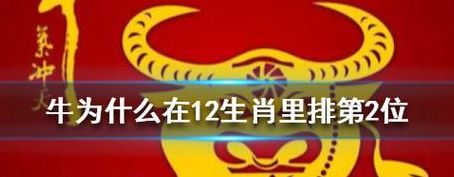 牛为什么在12生肖里排第2位（牛为什么在十二生肖里都排第二）