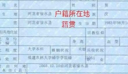 怎么找户籍所在地团支部（怎么找户籍所在地团支部电话）