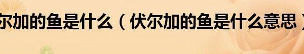 一条伏尔加的鱼（一条伏尔加的鱼形容人）