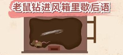老鼠钻进风箱里（老鼠钻进风箱里歇后语飞蛾扑火）