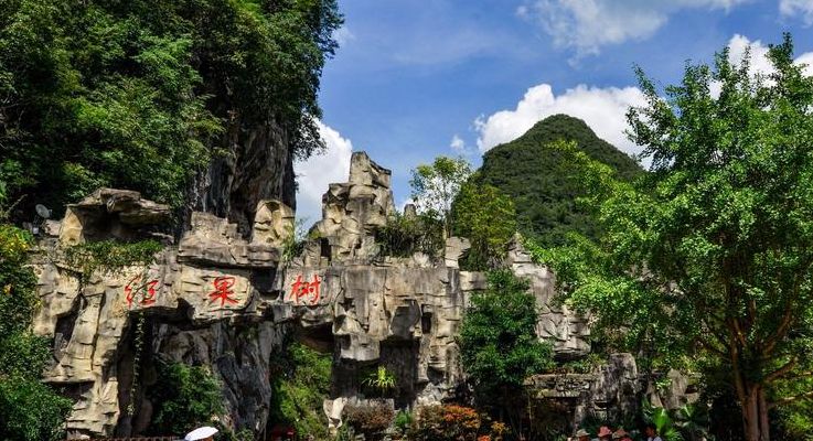 贵州红果（贵州红果树景区在什么地方?）