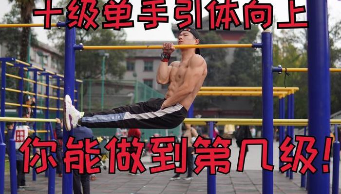 单手引体向上（单手引体向上世界纪录）