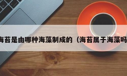 海苔由哪种海藻制作而成（海苔主要是由哪种海藻制作的）
