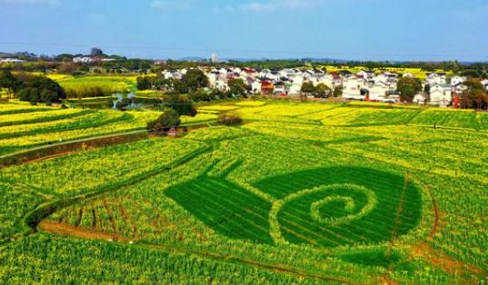 中国慢城（中国慢城是哪个城市）