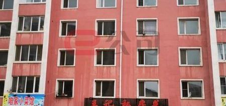 辽宁阜新56平米住房仅售2万（辽宁阜新房屋出售）