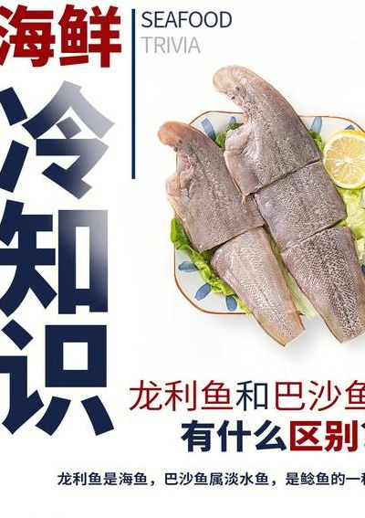 巴沙鱼和龙利鱼的区别（巴沙鱼和龙利鱼的区别的营养价值）