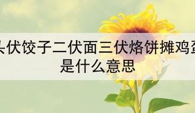 头伏饺子二伏面三伏烙饼摊鸡蛋（头伏饺子二伏面的寓意）