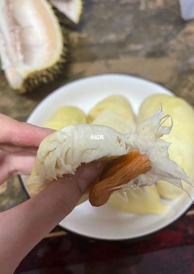 榴莲没熟打开后怎么办（榴莲没熟打开后怎么办壳已经丟掉了）