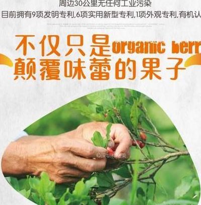 蜜拉圣果（蜜拉圣果的栽培方法）