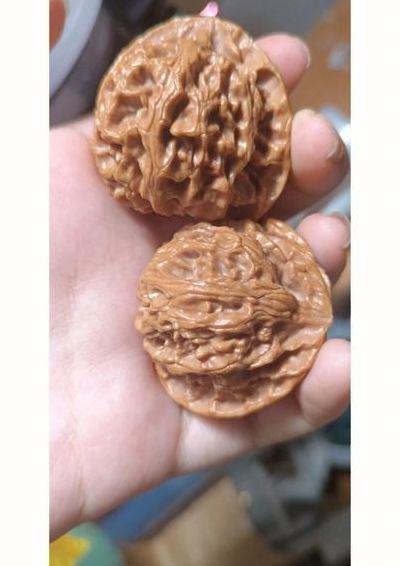 核桃楸皮（核桃楸皮的功效与作用）