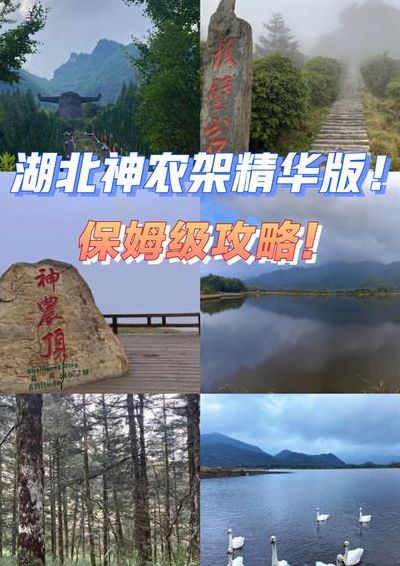 神农架在哪里（神农架在哪里属于哪个市）