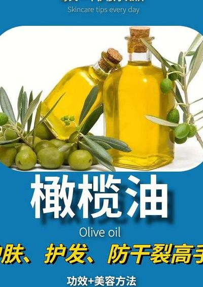 橄榄油护发（橄榄油护发好吗）