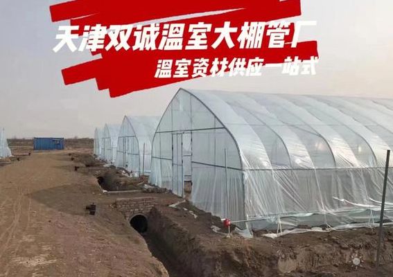 温室大棚造价（温室大棚造价多少钱一平）