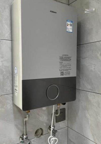 燃气热水器品牌排行榜前十名（国产燃气热水器品牌排行榜前十名）