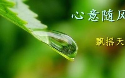 淡然一笑是什么意思（淡然一笑下一句）