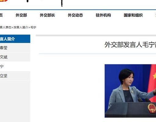 关于外交部发言人的信息
