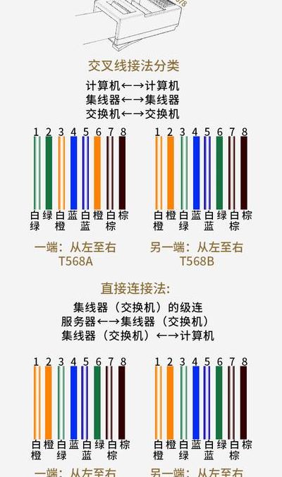 网线排序（八芯网线排序）