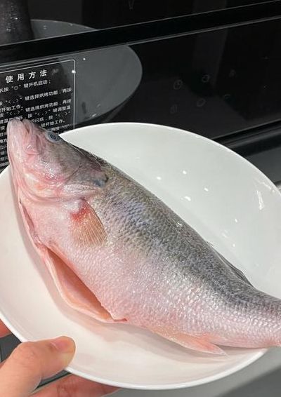 微波炉鱼（微波炉蒸鱼几分钟能熟）