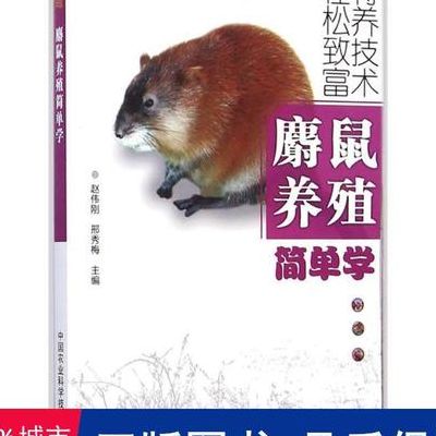 麝鼠养殖（麝鼠养殖简单学赵伟刚）