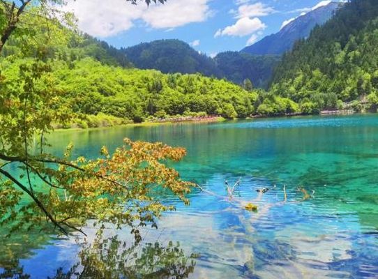 九寨沟几月去旅游最好（九寨沟几月份去玩最美）